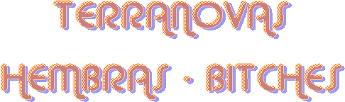 TERRANOVAS
HEMBRAS - BITCHES